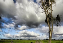 科尔多瓦对阵卡塔赫纳谁能赢？这场西乙对决有哪些关键看点？